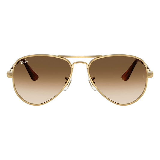 Ray-Ban Aviator Max RB3925 001/51 58 Sunglasses