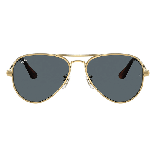 Ray-Ban Aviator Max RB3925 001/R5 58 Sunglasses