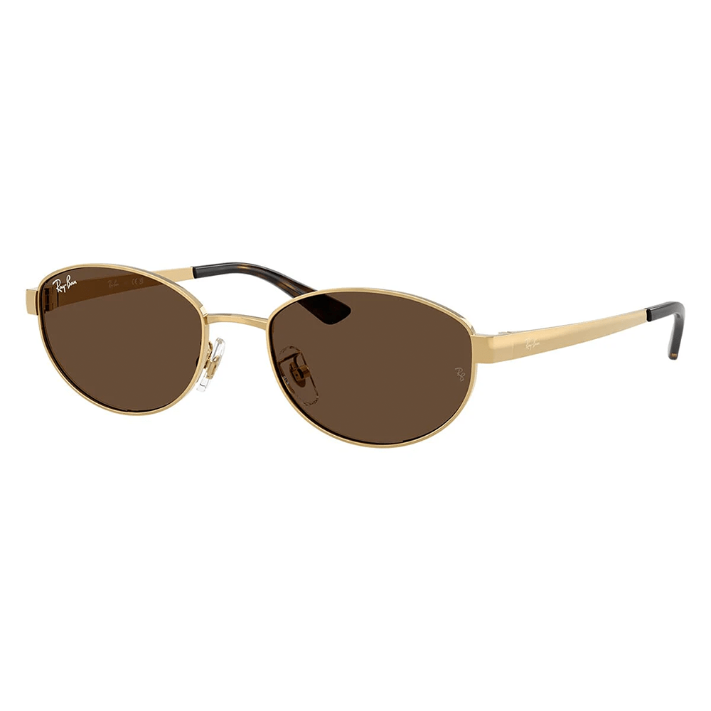Ray-Ban RB3774D 001/73 Sunglasses