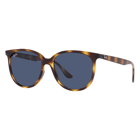 Ray-Ban RB4378 710/80 Sunglasses