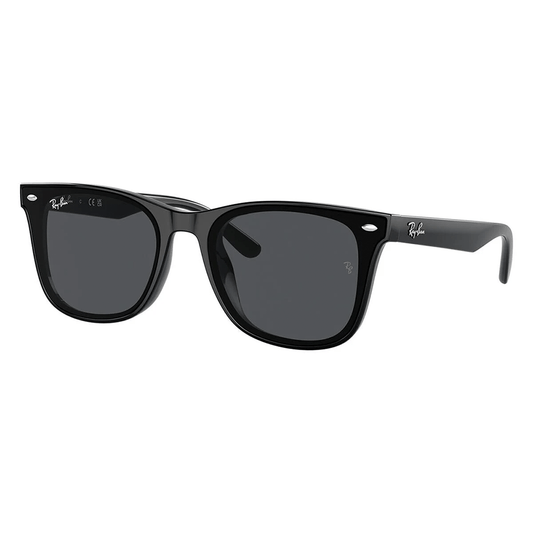Ray-Ban RB4420 601/87 Sunglasses