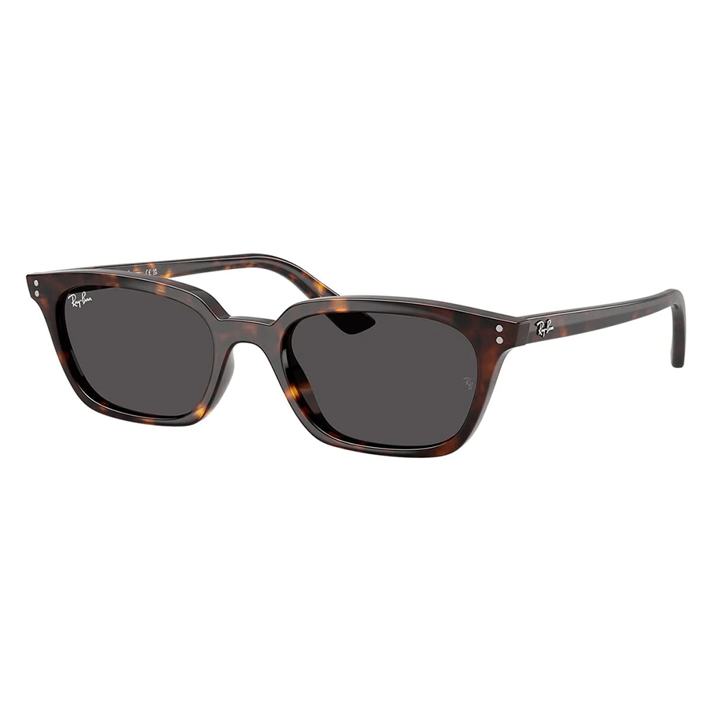 Ray-Ban Zaya RB4456 1359/87 53 Sunglasses