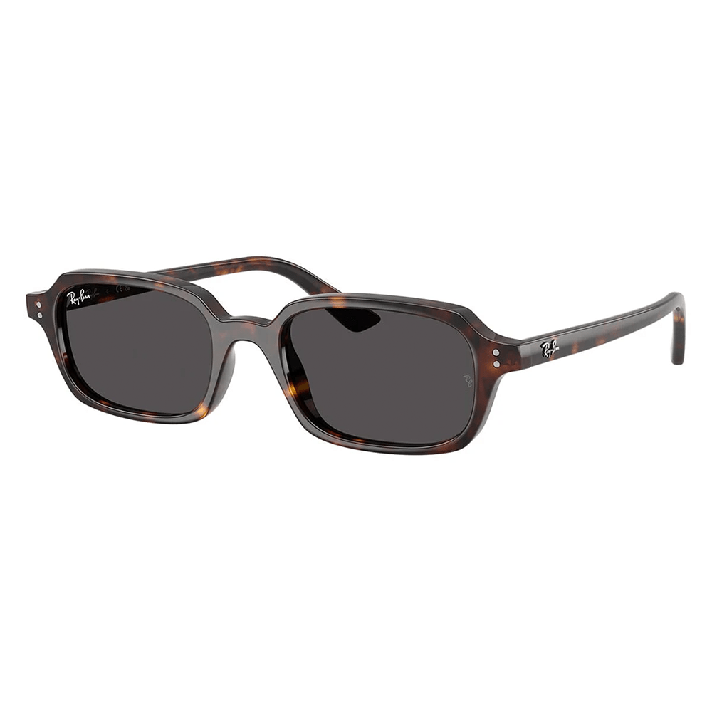 Ray-Ban Zuri RB4455 1359/87 52 Sunglasses