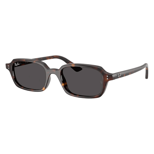 Ray-Ban Zuri RB4455 1359/87 49 Sunglasses
